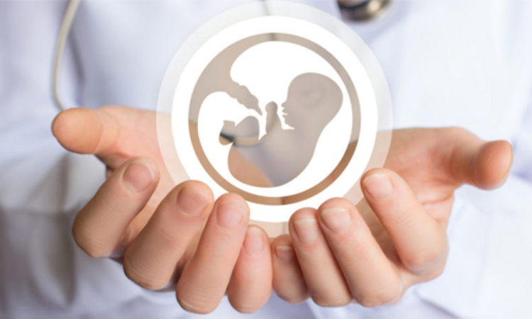 IVF Healthcare Software